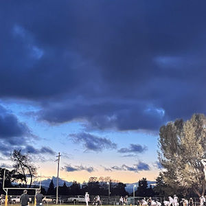 Meet your Posher, Alivia